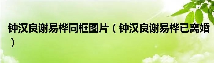 钟汉良谢易桦同框图片（钟汉良谢易桦已离婚）