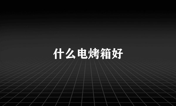 什么电烤箱好