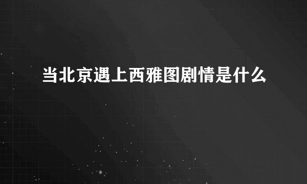 当北京遇上西雅图剧情是什么