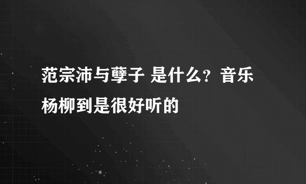 范宗沛与孽子 是什么？音乐杨柳到是很好听的