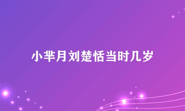 小芈月刘楚恬当时几岁