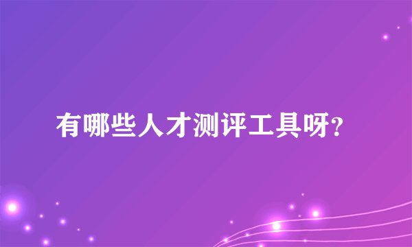有哪些人才测评工具呀？
