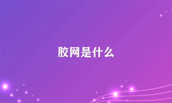 胶网是什么