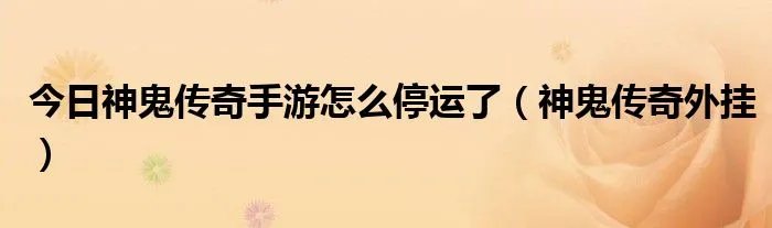 今日神鬼传奇手游怎么停运了（神鬼传奇外挂）
