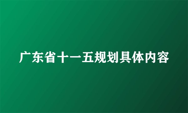 广东省十一五规划具体内容