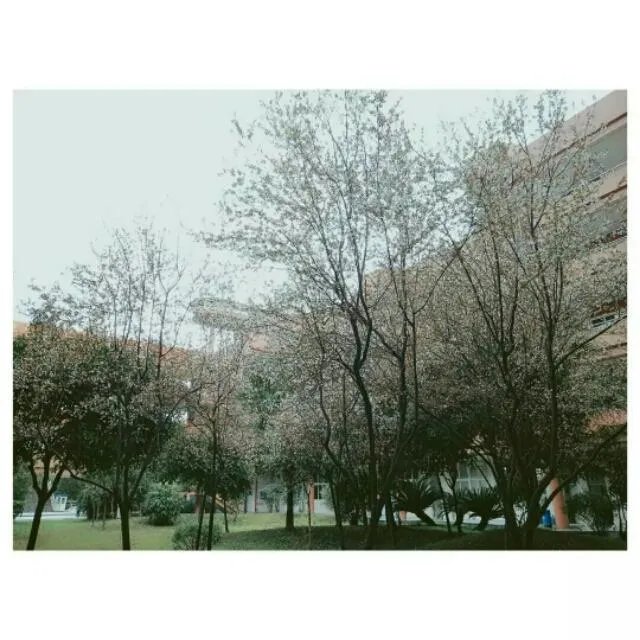 南充高中到底有多好?