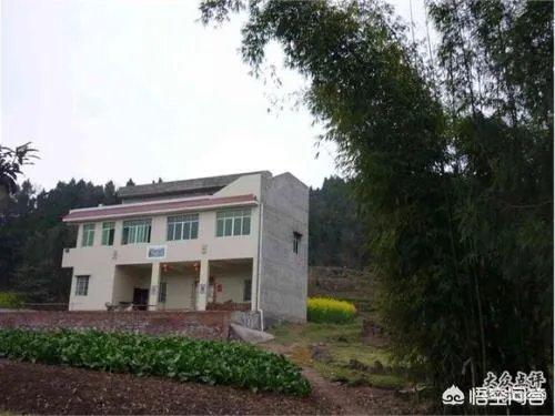 你们农村致富故事有哪些?