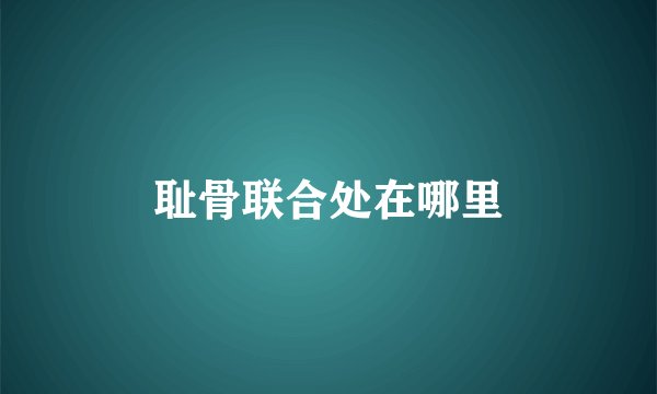 耻骨联合处在哪里