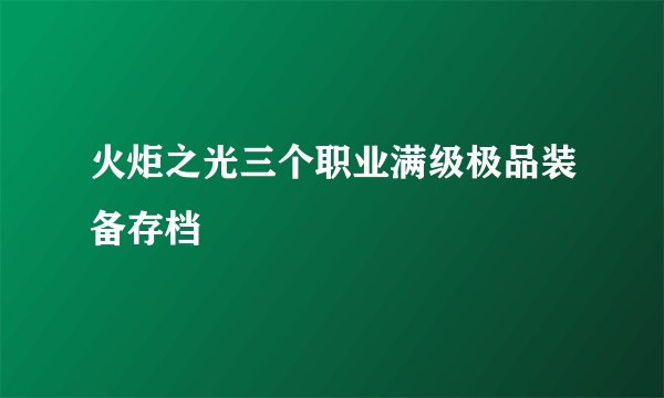 火炬之光三个职业满级极品装备存档