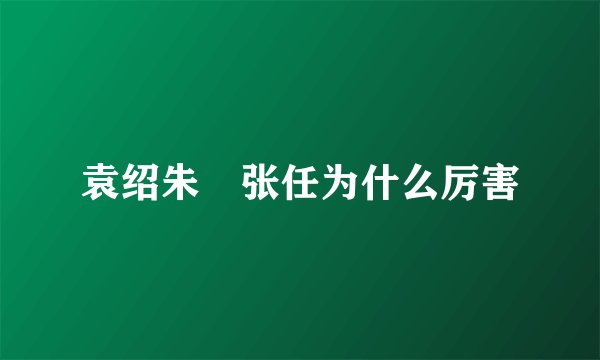 袁绍朱儁张任为什么厉害