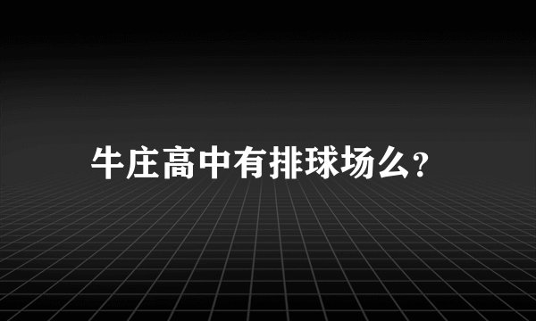 牛庄高中有排球场么？