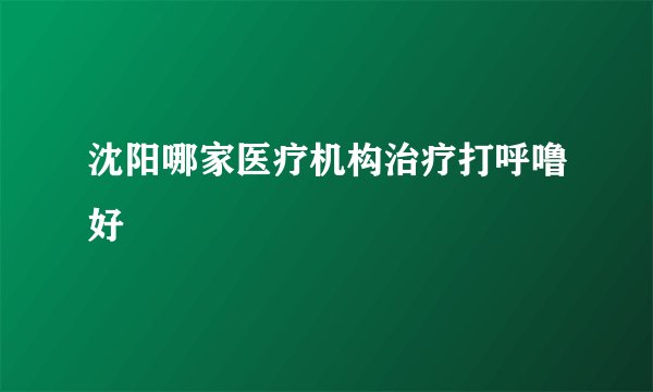 沈阳哪家医疗机构治疗打呼噜好