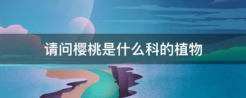 请问樱桃是什么科的植物
