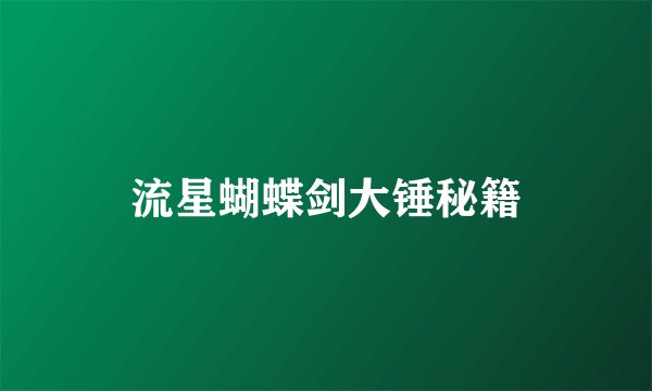 流星蝴蝶剑大锤秘籍