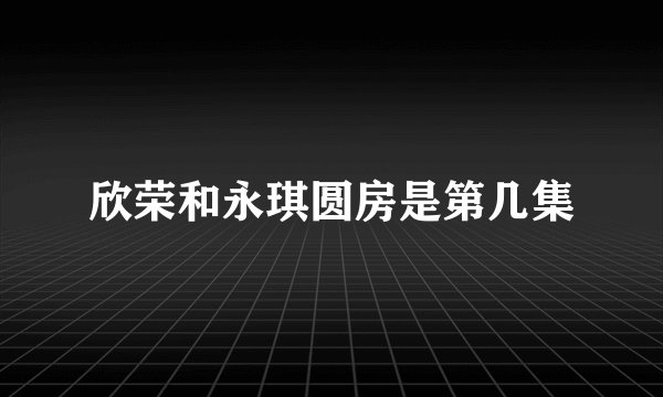 欣荣和永琪圆房是第几集