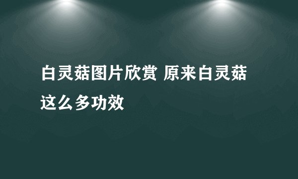 白灵菇图片欣赏 原来白灵菇这么多功效