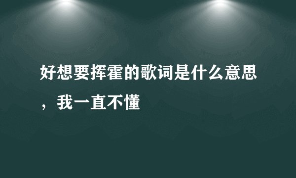 好想要挥霍的歌词是什么意思,我一直不懂
