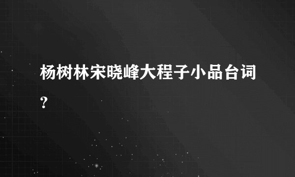 杨树林宋晓峰大程子小品台词？