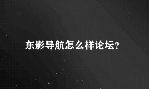 东影导航怎么样论坛？