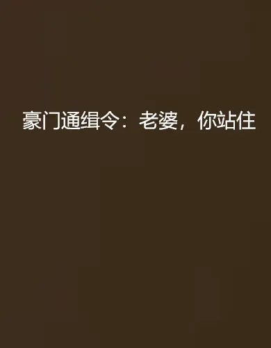 《豪门通缉令：老婆,你站住(完本)》最新txt全集下载