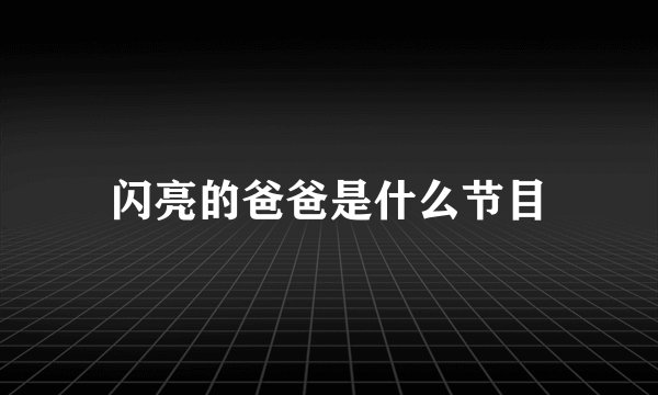 闪亮的爸爸是什么节目