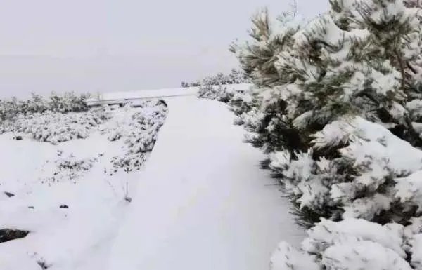 北京今冬降雪为何会如此猛烈？这波寒潮会持续多久？