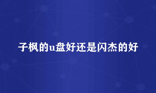 子枫的u盘好还是闪杰的好