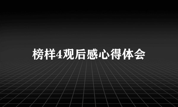 榜样4观后感心得体会