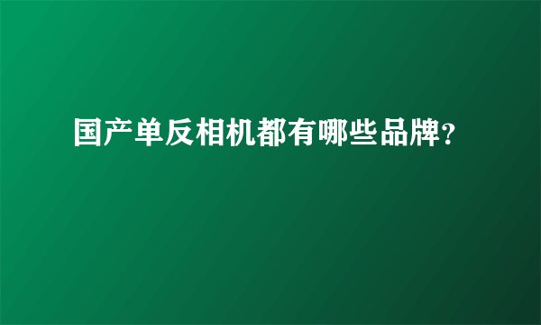 国产单反相机都有哪些品牌？