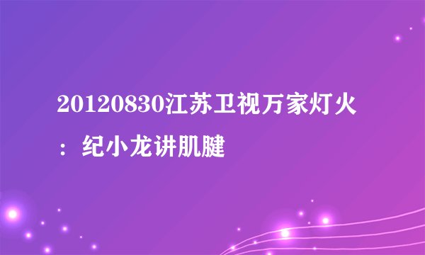 20120830江苏卫视万家灯火：纪小龙讲肌腱