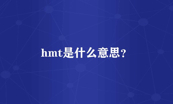 hmt是什么意思？