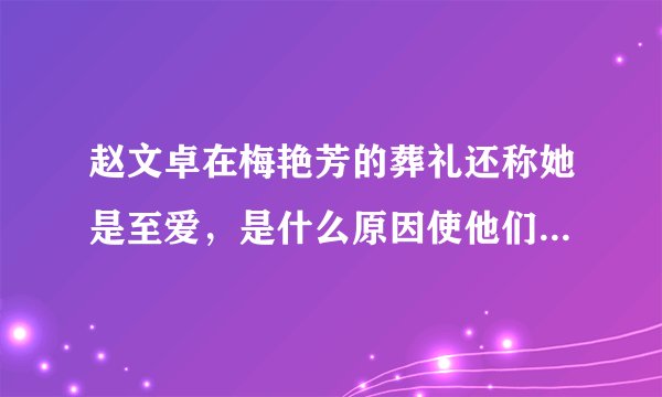 赵文卓在梅艳芳的葬礼还称她是至爱,是什么原因使他们最终没有走到一起?