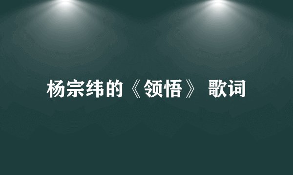 杨宗纬的《领悟》 歌词