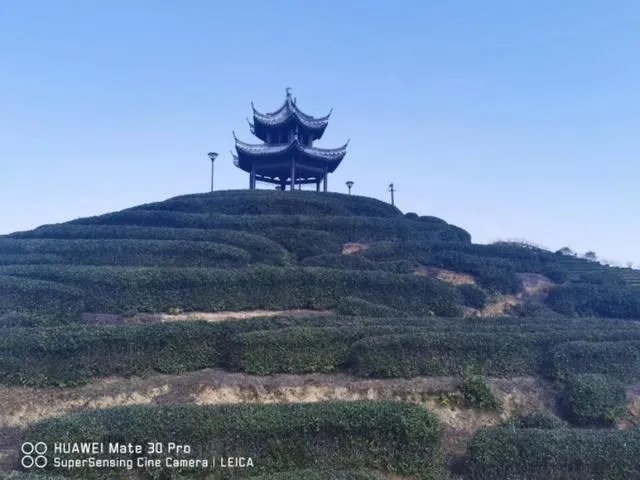 我是干旅游超市的,今年还能继续干么?