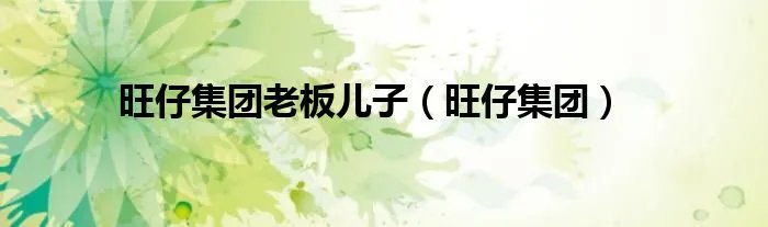 旺仔集团老板儿子（旺仔集团）