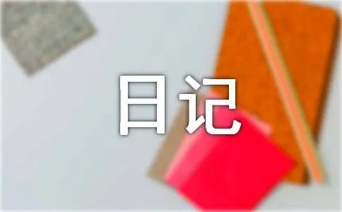 过年的日记