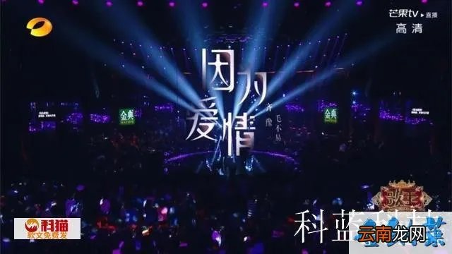 胡夏齐豫和声 感觉《歌手》冲刺夜中齐豫和毛不易的演绎如何