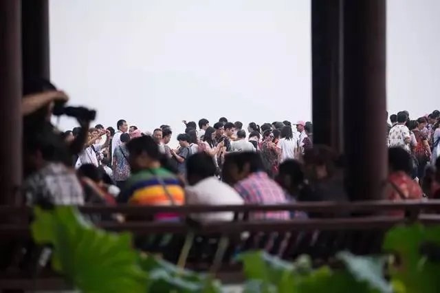 千万不要来杭州,我是认真的