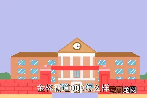 金杯霸道009,金杯霸道009怎么样