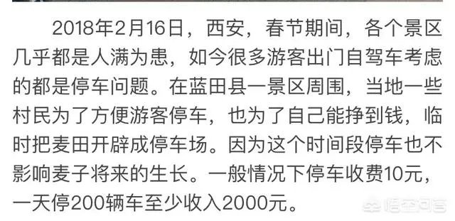 西安村民春节改麦田为停车场，一天收入2000元，你怎么看？