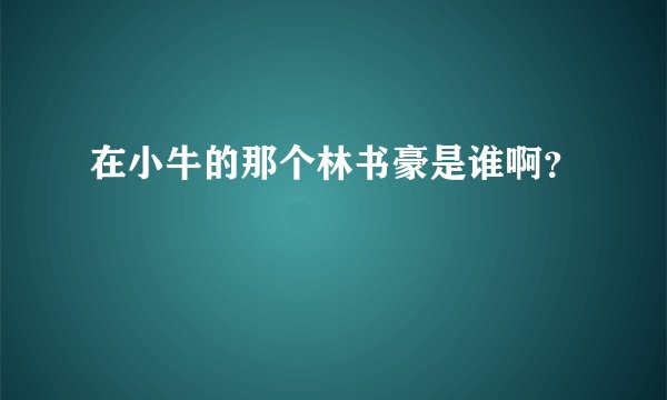 在小牛的那个林书豪是谁啊？
