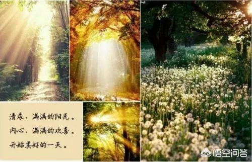 怎样才能不抑郁?