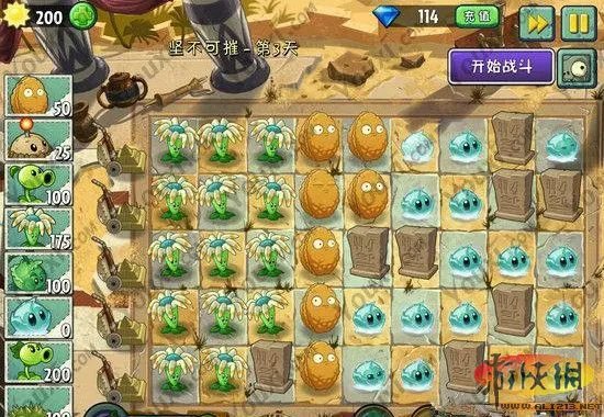《植物大战僵尸2》埃及坚不可摧第三天攻略