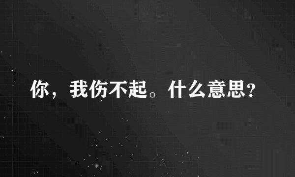 你，我伤不起。什么意思？
