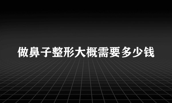 做鼻子整形大概需要多少钱