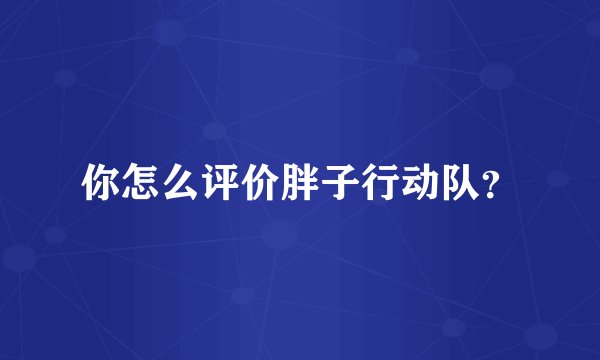 你怎么评价胖子行动队？