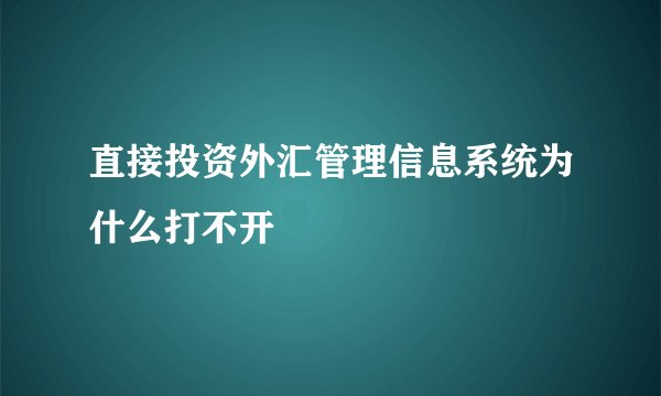 直接投资外汇管理信息系统为什么打不开