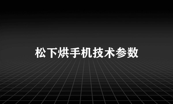 松下烘手机技术参数