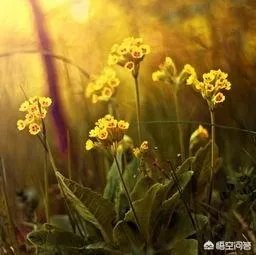 大学生骑车撞上违停法拉利,初步估计要赔20万,对此你怎么看?