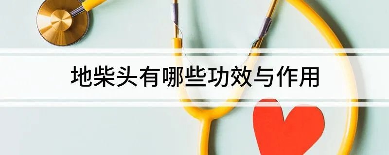 地柴头有哪些功效与作用